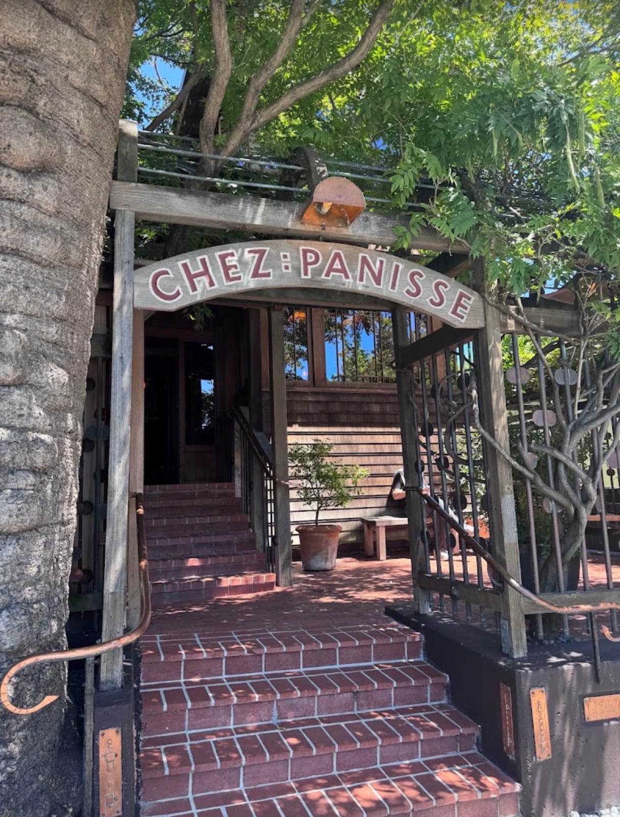 The Chez Panisse Tree