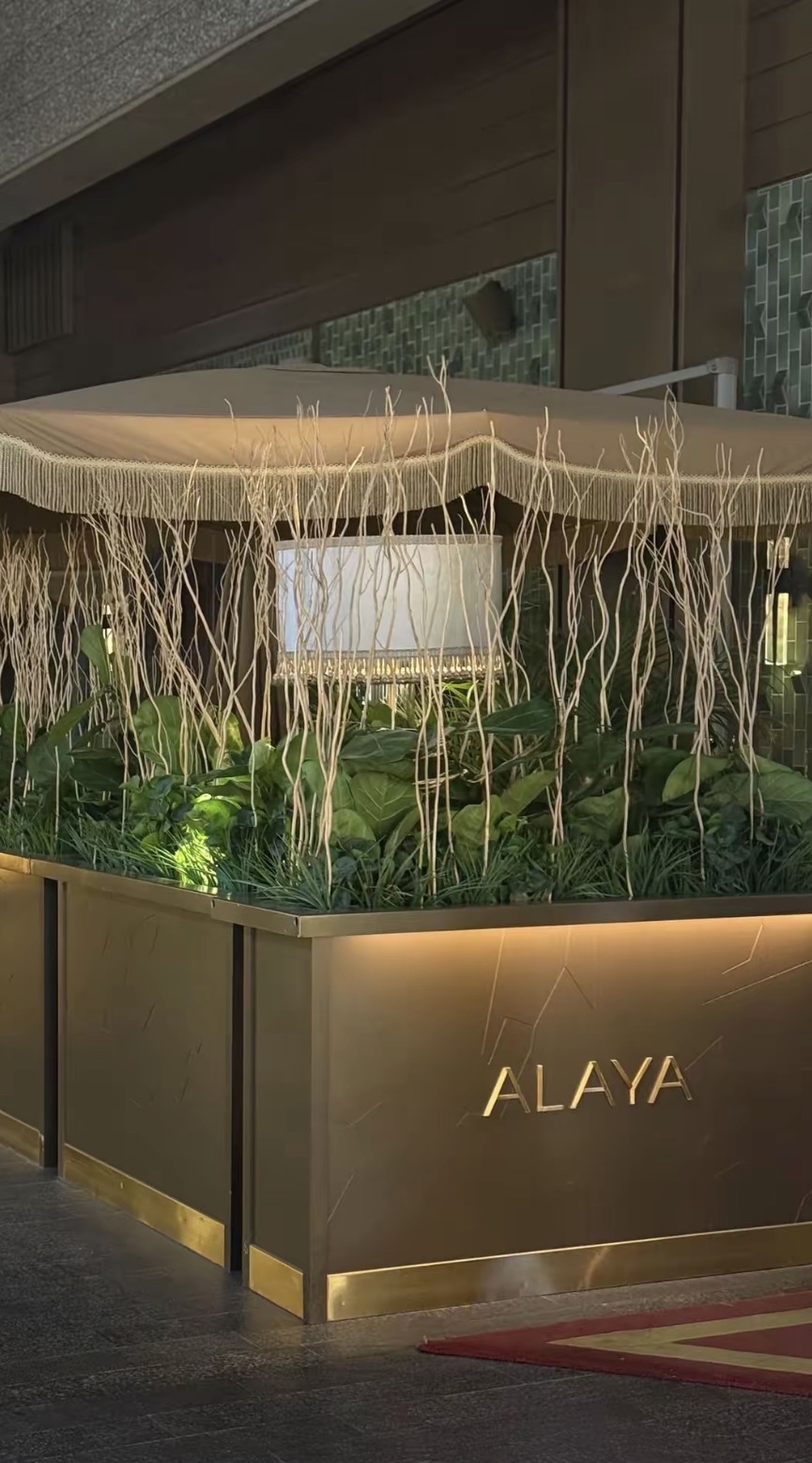 Alaya Dubai photo 1