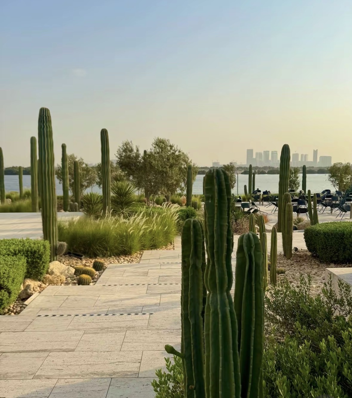 Cactus Park of Kerulah Cafe photo 1