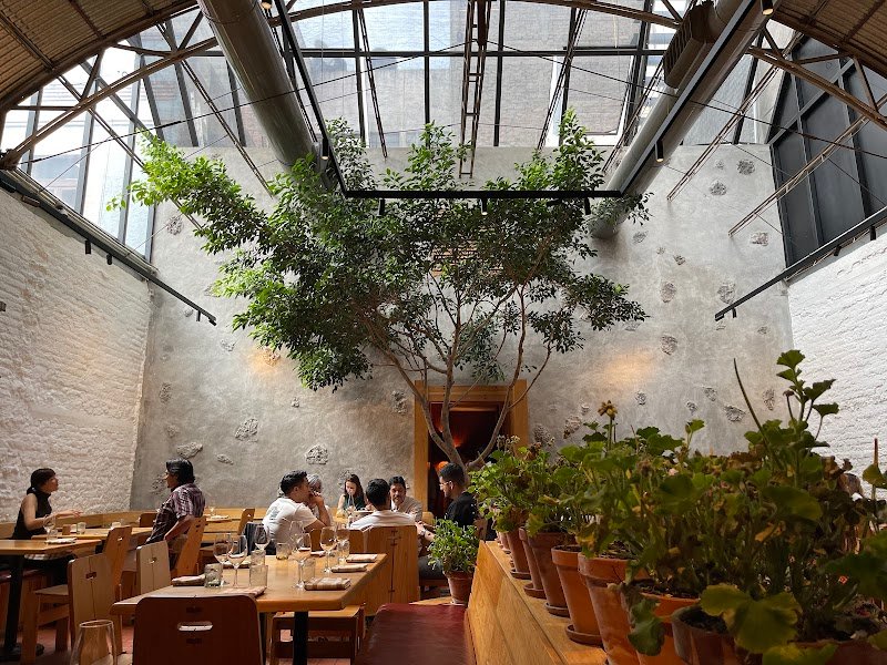Máximo, Mexican in Roma Norte