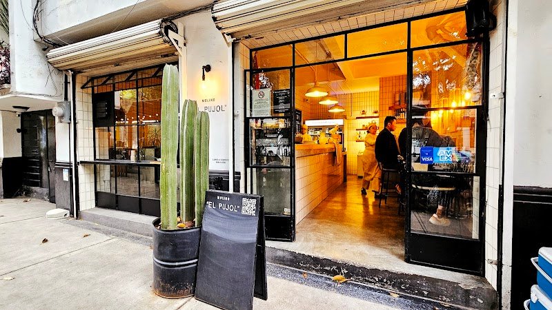 Molino "El Pujol", Mexican in Hipódromo Condesa