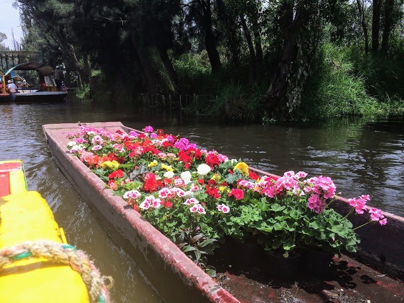 Xochimilco, Point of interest in Xochimilco