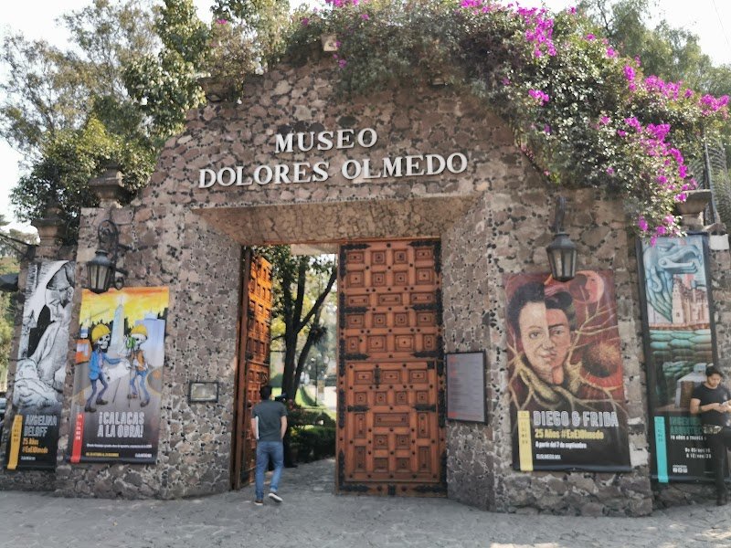 Museo Dolores Olmedo, Museum in La Noria