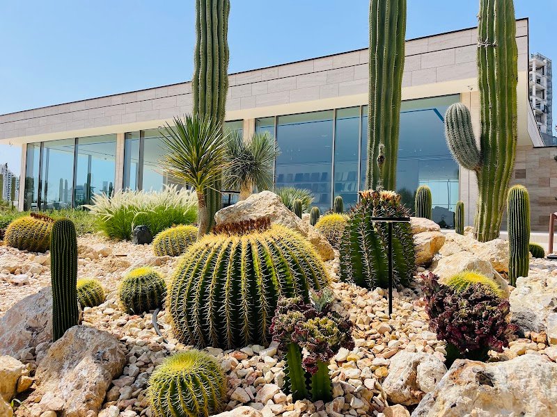 Cactus Park of Kerulah Cafe, Cafe in Al Jadaf