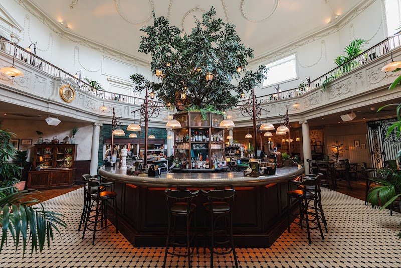 The Botanist Bath, Bar in 46a Milsom St